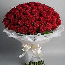 Букет 101 Красная роза Блэк Мэджик в Волгограде