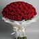 Букет 101 Красная роза Блэк Мэджик в Волгограде