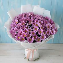 Букет цветов из:  Хризантемы в Волгограде
