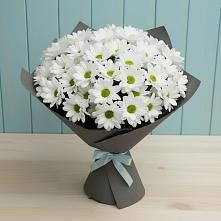 Букет цветов из:  Хризантемы в Волгограде