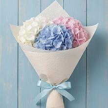 Букет цветов из:  Гортензия #REPLACE_PRED# Волгограде