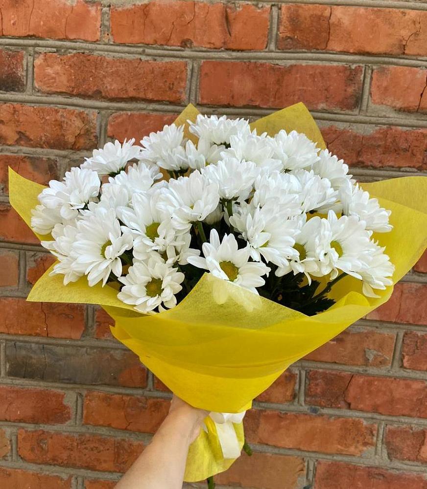 Букет цветов из: Хризантемы в Волгограде
