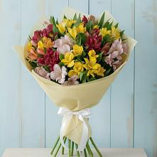 Букет цветов из:  Альстромерии в Волгограде