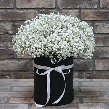 Цветочная композиция из Гипсофила в шляпной коробке в Волгограде