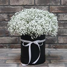 Композиция коробка гипсофил в Волгограде Цветочная композиция из Гипсофила в шляпной коробке в Волгограде